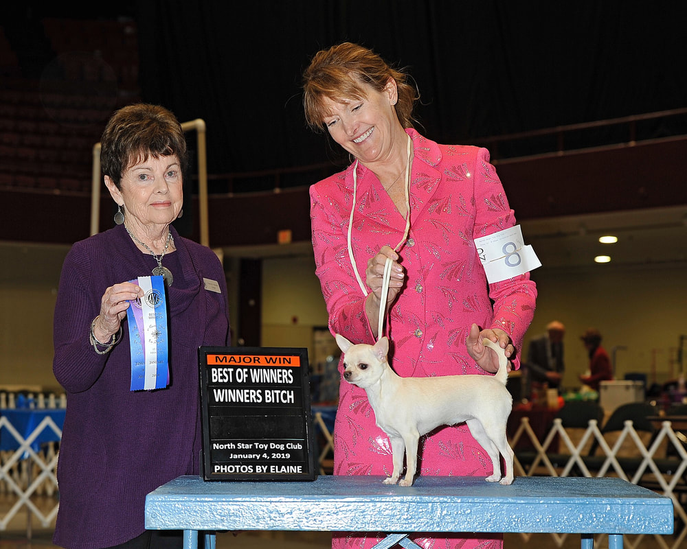 Show News PinkPawPinkPawPinkPaw